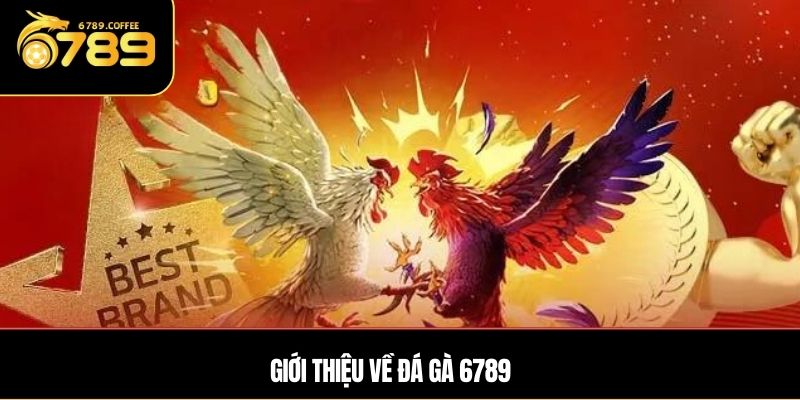 Giới thiệu về đá gà 6789