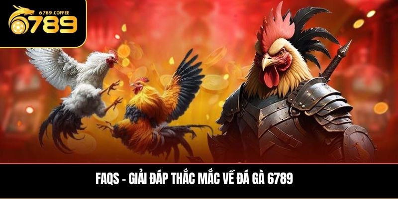 FAQs – Giải đáp thắc mắc về đá gà 6789