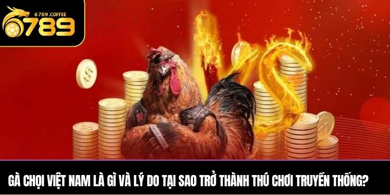 Gà chọi Việt Nam là gì và lý do tại sao trở thành thú chơi truyền thống?