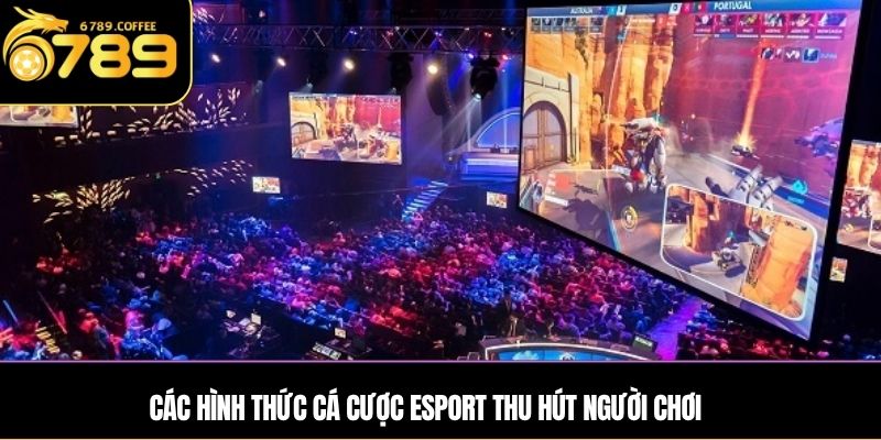 Các hình thức cá cược Esport thu hút người chơi
